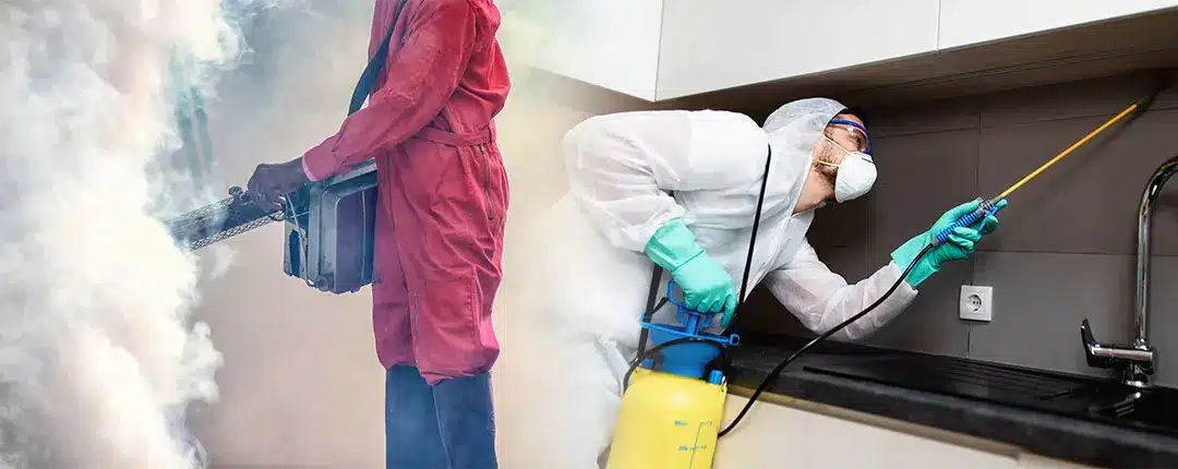 understanding spraying vs fumigation