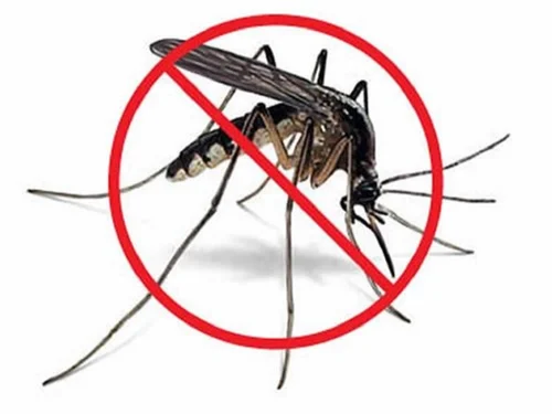 mosquito pest control services 500x500 1